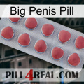 Big Penis Pill 18